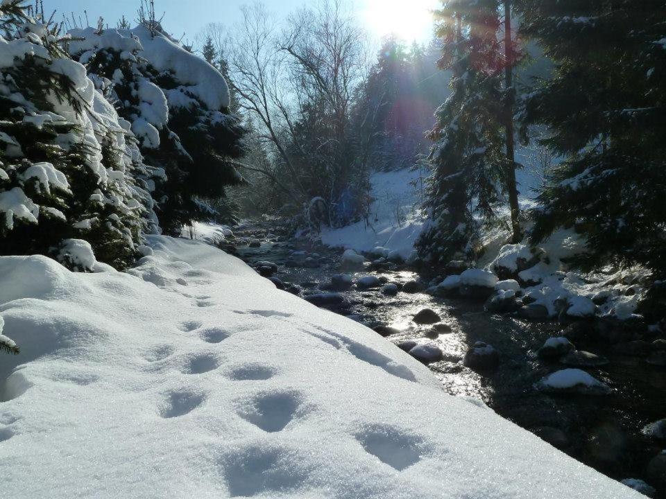 Chata Jana Demänovská Dolina Exterior foto